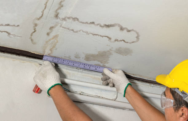 Reliable Mold Remediation contractor in Dunkirk, NY by Water Damage Irwin